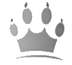 Umwelthund Shop Cani di Mondo